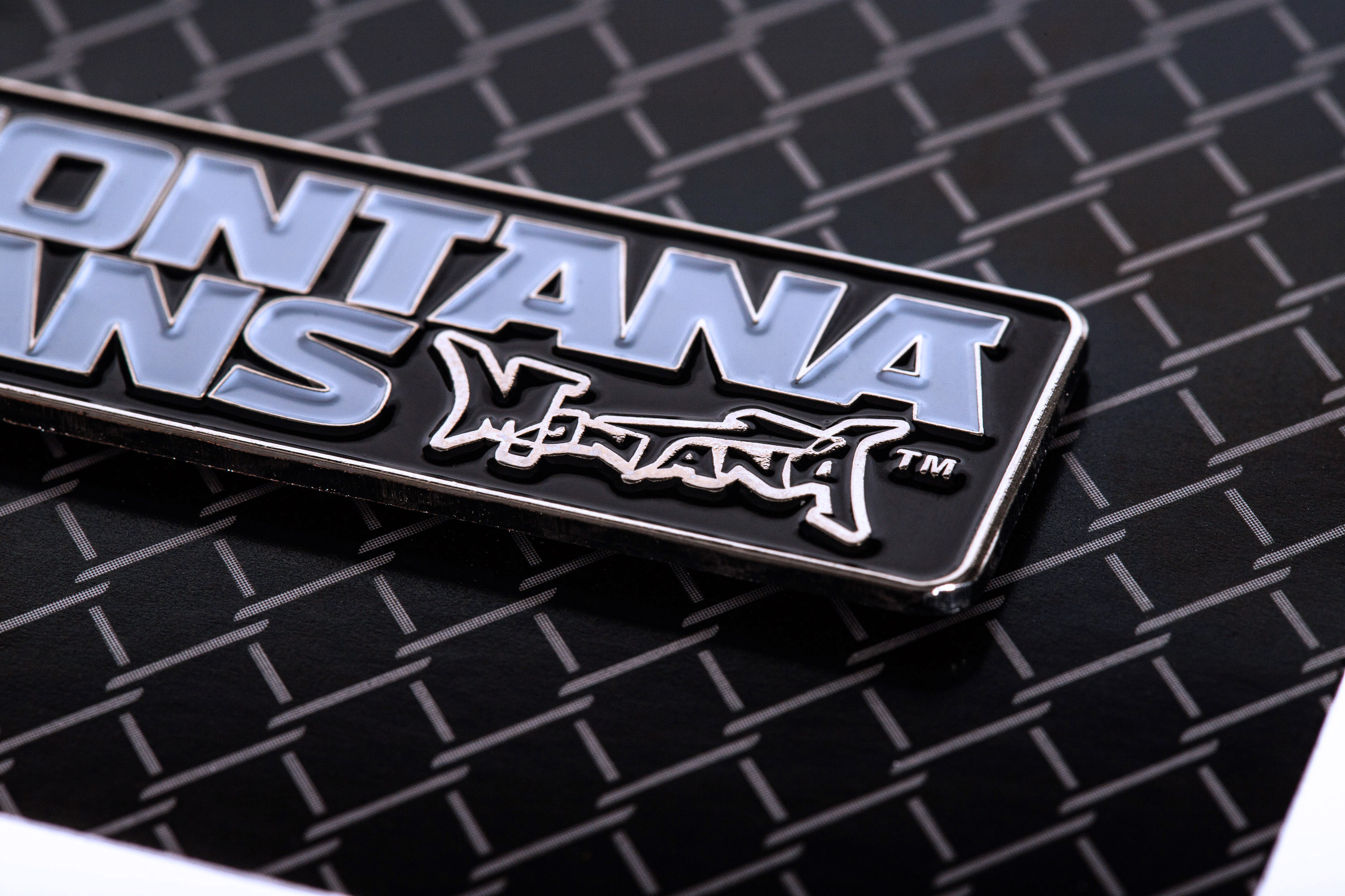 Montana TYPO Logo  Pin Montana TYPO Logo  Pin